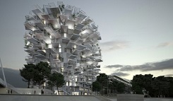 Fujimoto_hover