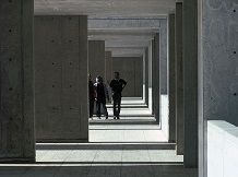 Insights_macallister_display